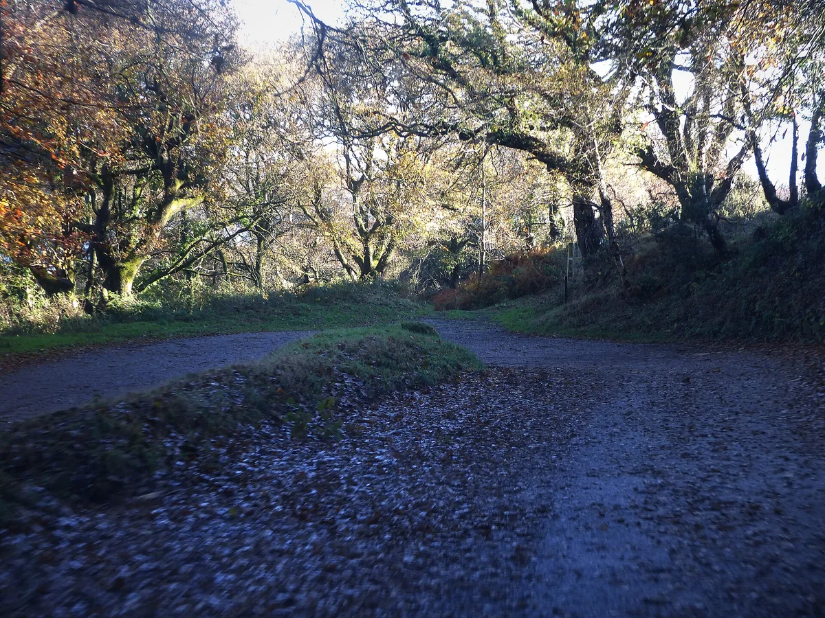 Porlock Scenic Toll Road